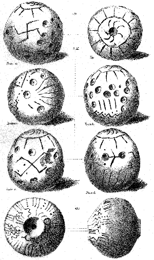 Symbols from Ancient Troy